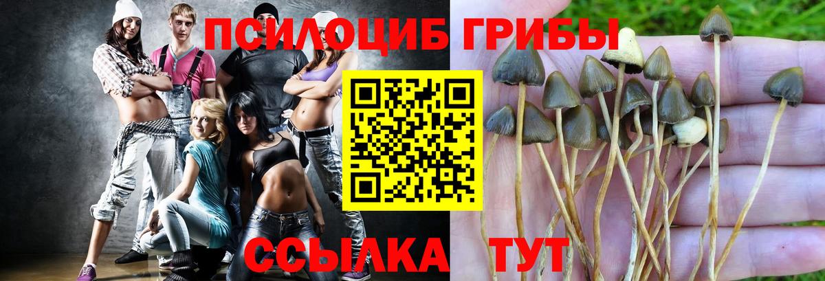 Костомукша  Псилоцибиновые грибы прущие грибы  Вход с VPN 